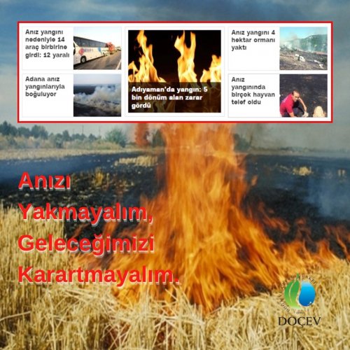 Photo post from dogavecevrevakfi.