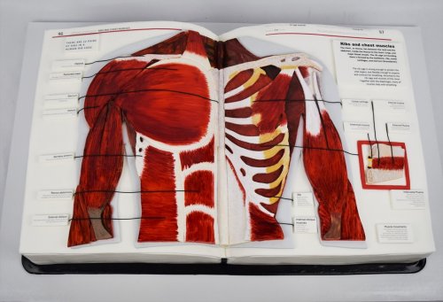 Carousel post from marquettescakestudio.