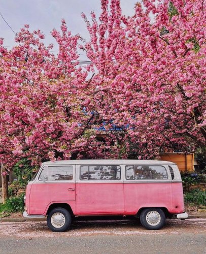 Photo post from travelportland.