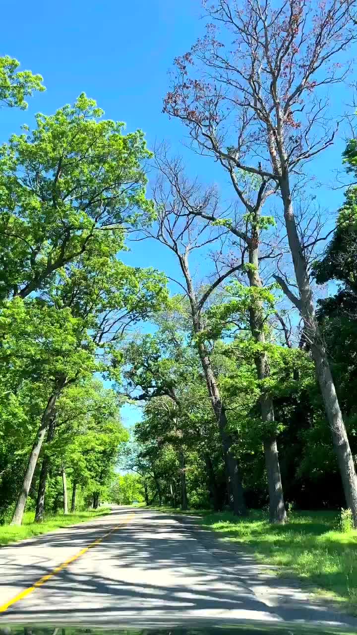 Video post from empaqueyvamos_.