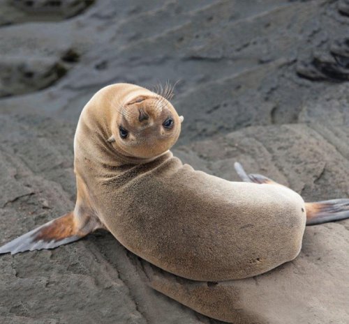 Photo post from taucktravel.