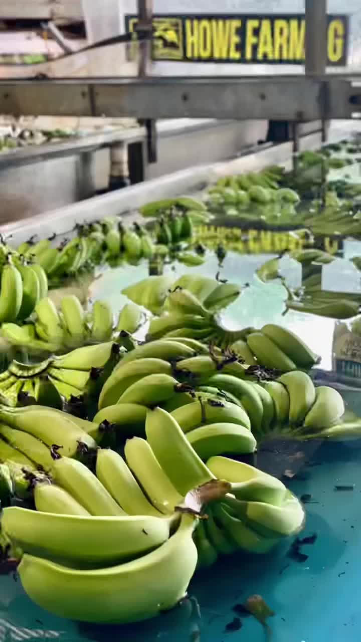 Video post from howefarming.