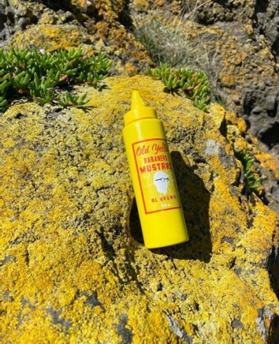 Photo post from oldyellamustard.