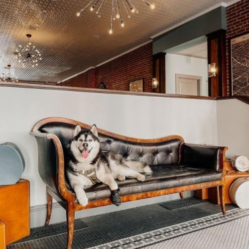 Photo post from hotelonnorth.