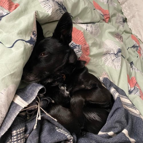 Carousel post from freyaetthor.