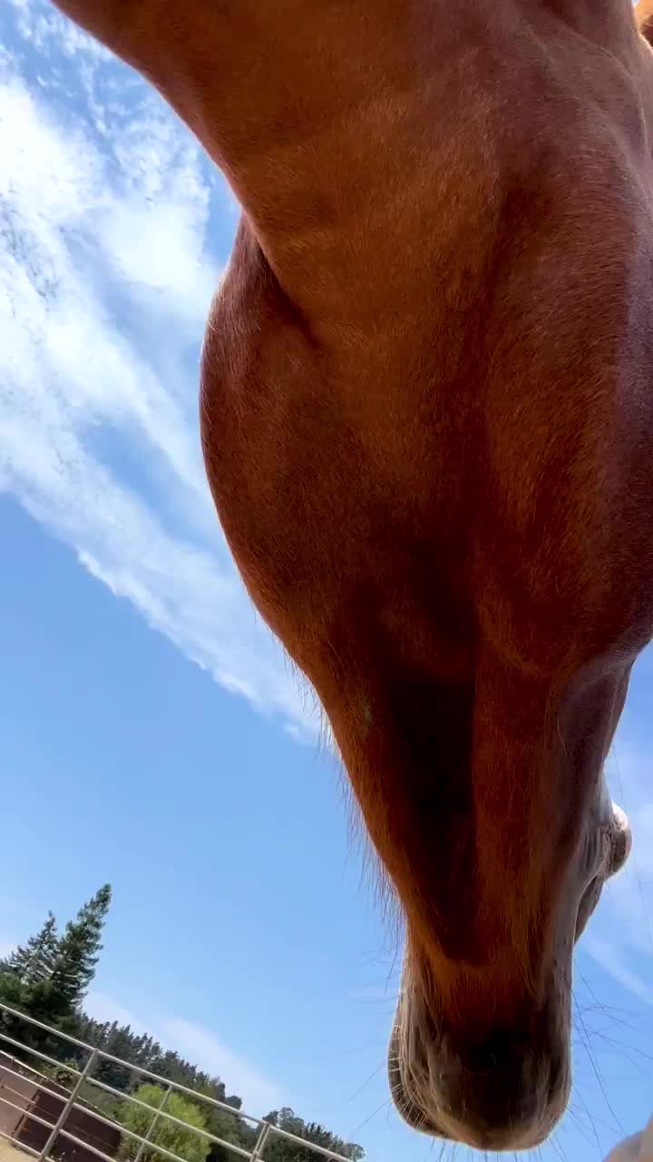 Video post from __amber_lydic__.