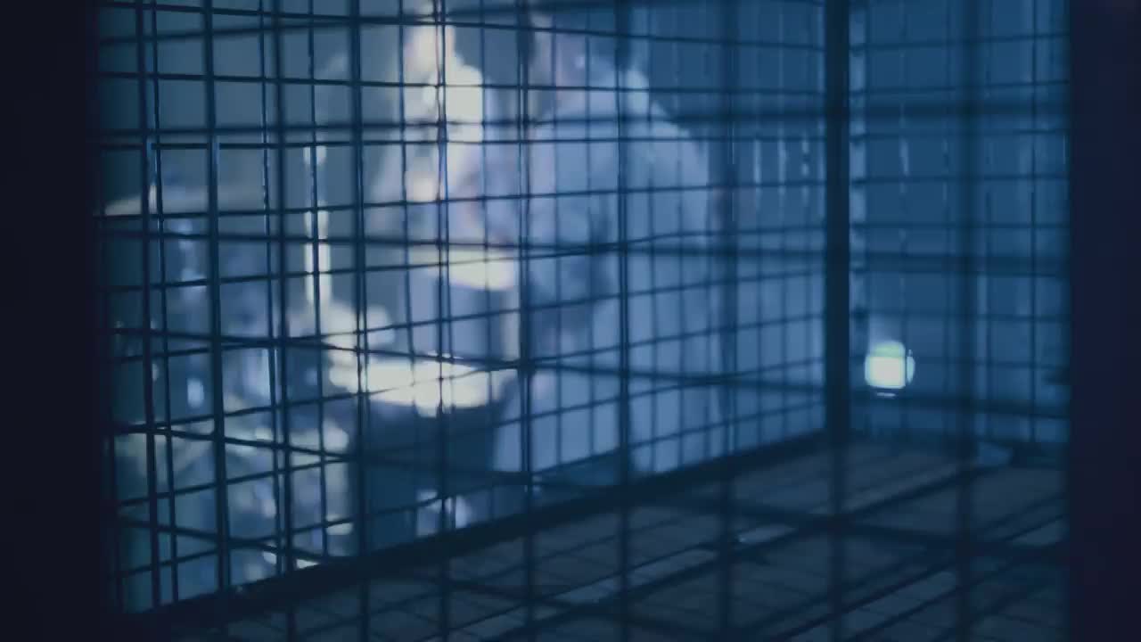 Video post from prgbelgium.