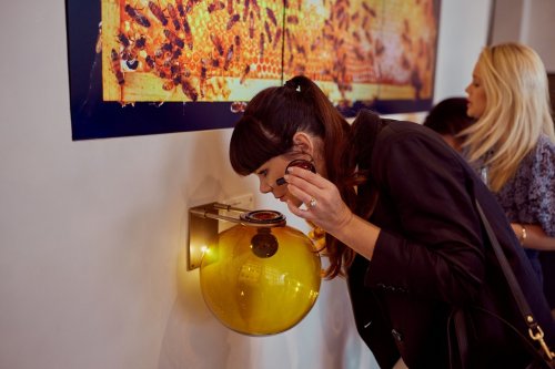 Photo post from comvita_au.