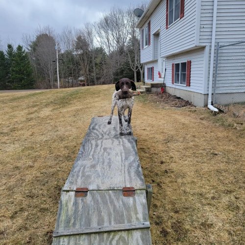 Photo post from reddogguideservice.