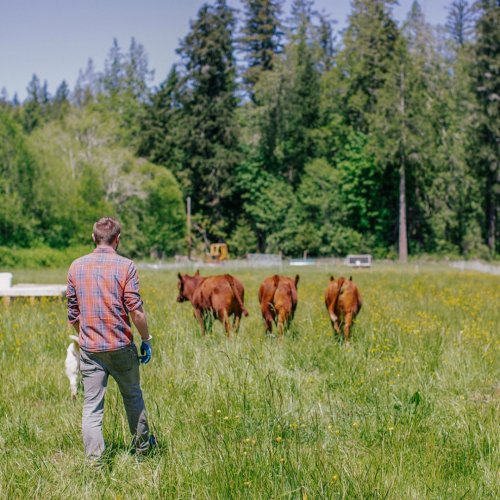 Photo post from hungryhollowfarm.