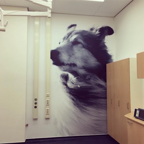 Photo post from signkings.