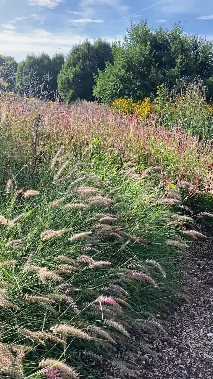 Video post from sussexprairies.