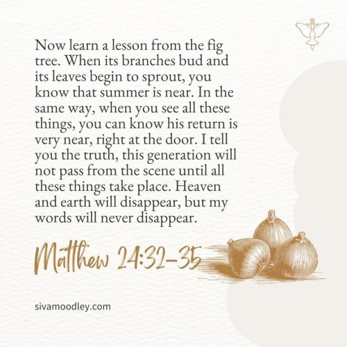 Photo post from drsivamm.