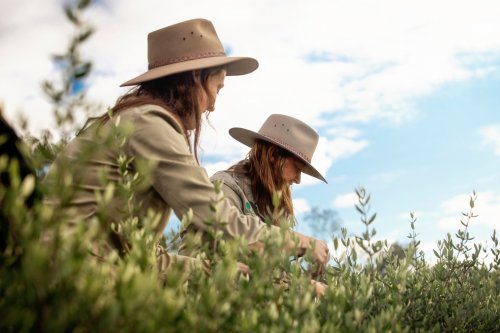 Photo post from comvita_nz.