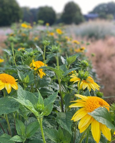 Photo post from sussexprairies.