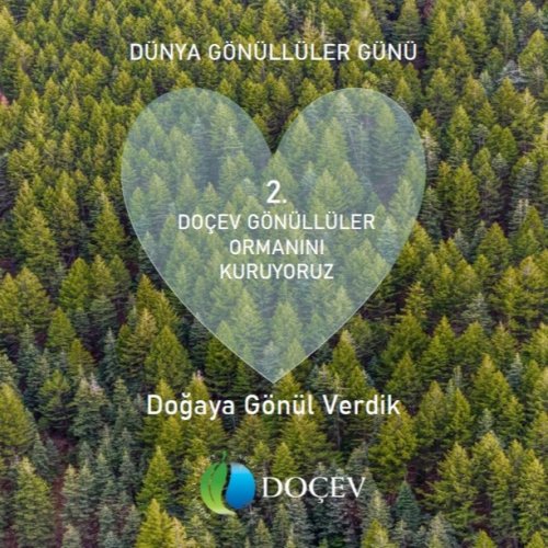 Photo post from dogavecevrevakfi.