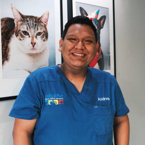 Photo post from medicalpettj.