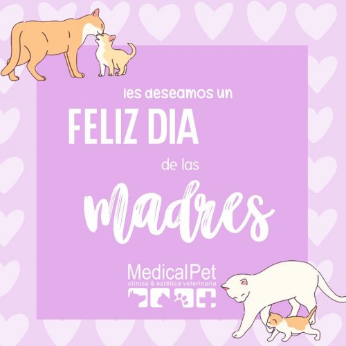 Photo post from medicalpettj.