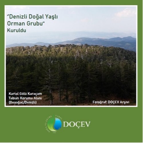 Photo post from dogavecevrevakfi.