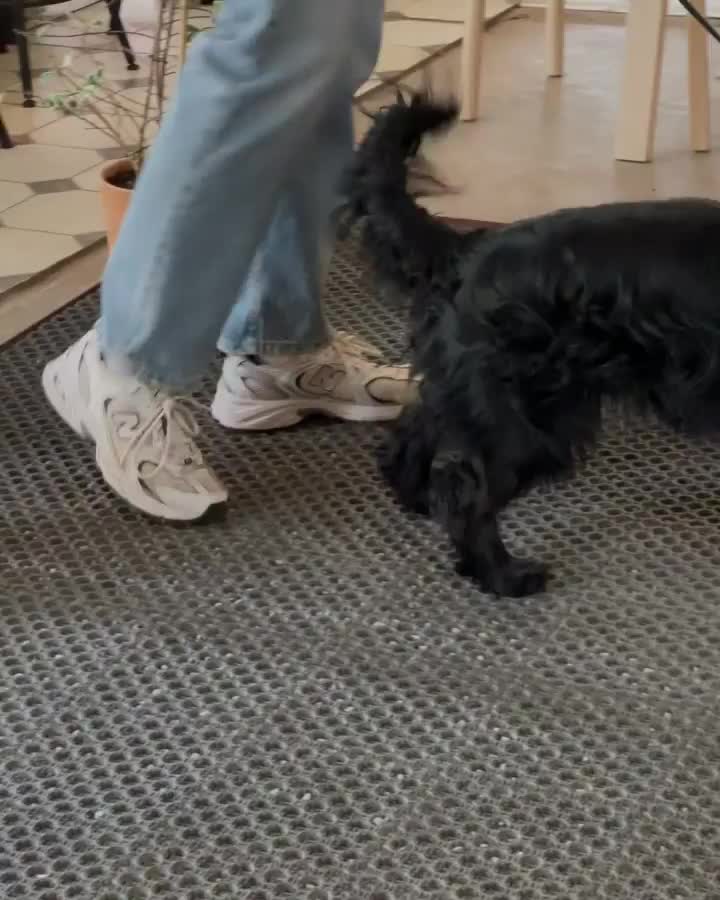 Video post from uno_fika_butik.