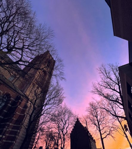 Photo post from visitoirschot.