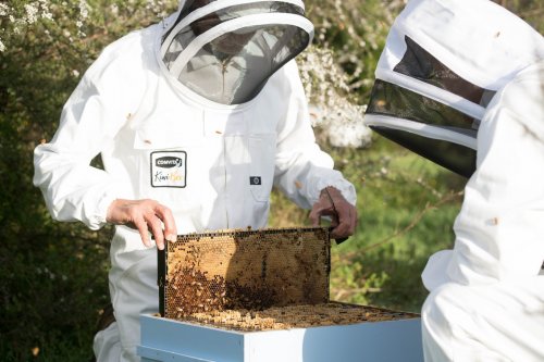 Photo post from comvita_nz.