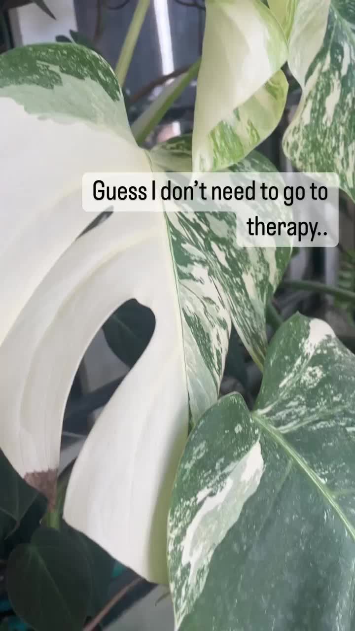 Video post from purkinje_crazyforplants.