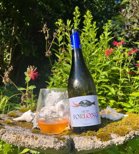 Photo post from dandywineshop.