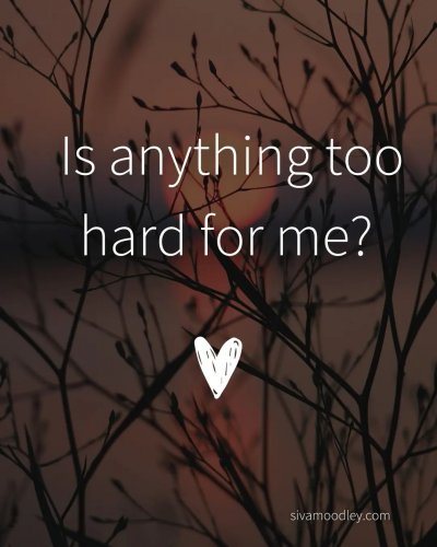 Photo post from drsivamm.