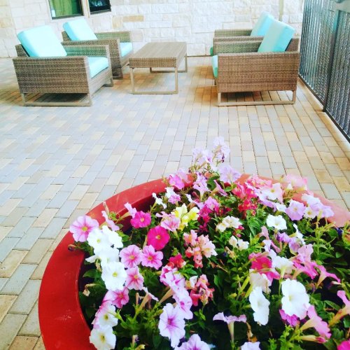 Photo post from highlineaustin.