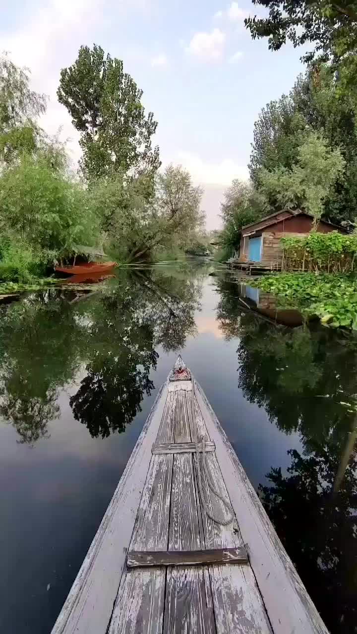 Video post from nazneengroupofhouseboats.