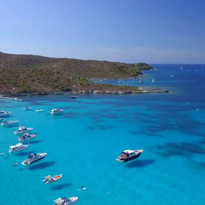 Video post from proximeo.