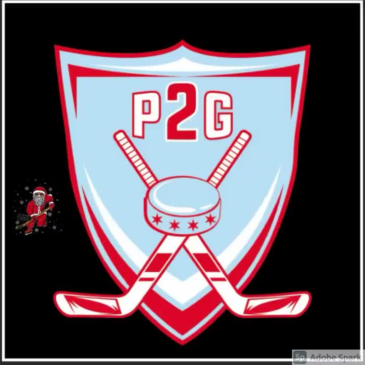 Video post from p2g_hockey.