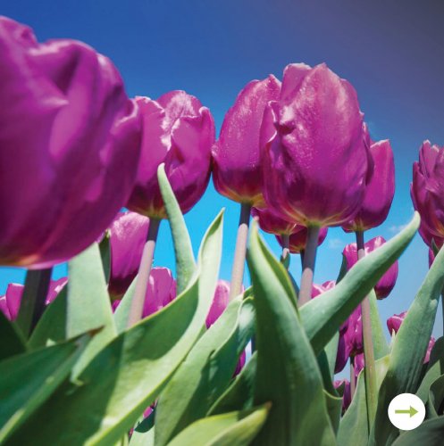 Carousel post from taucktravel.