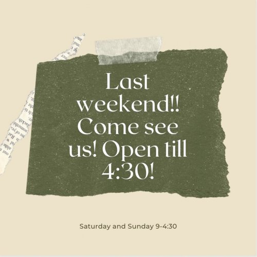 Photo post from freyaetthor.