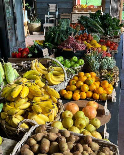 Photo post from currumbinvalleyharvest.