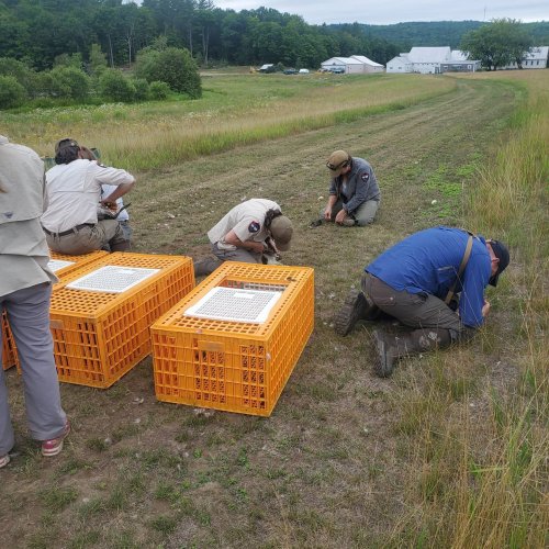Carousel post from reddogguideservice.