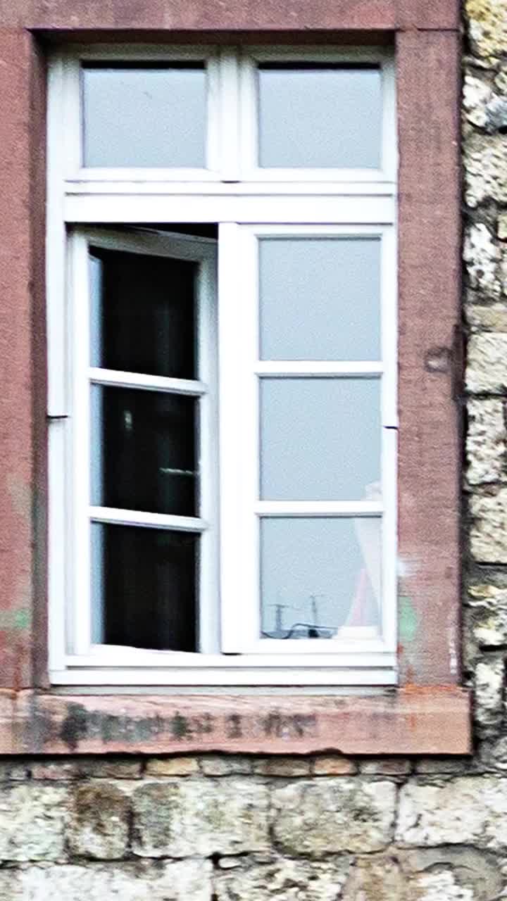 Video post from fenster_zum_hof_openair_mainz.