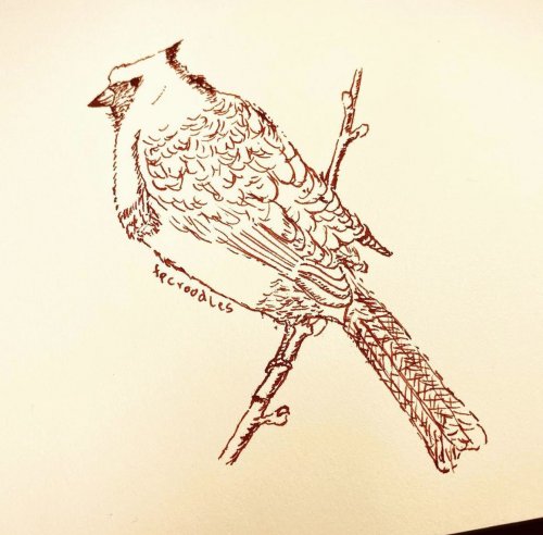 Photo post from penandinkchallenge.