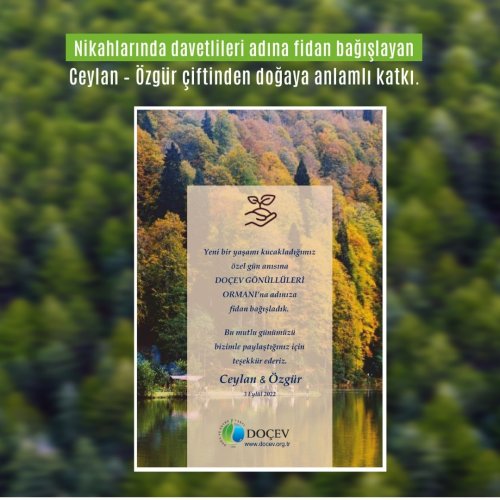 Photo post from dogavecevrevakfi.