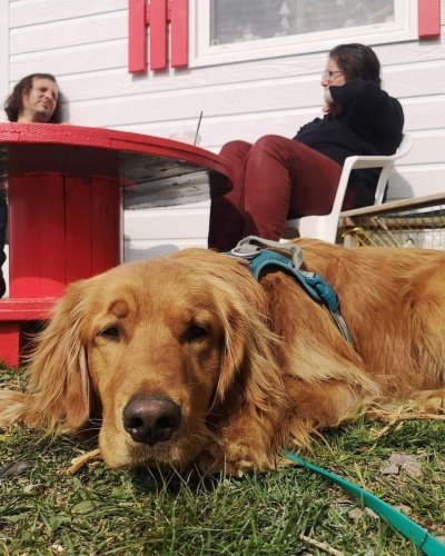 Carousel post from freyaetthor.