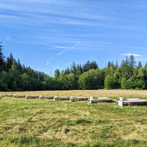 Photo post from hungryhollowfarm.