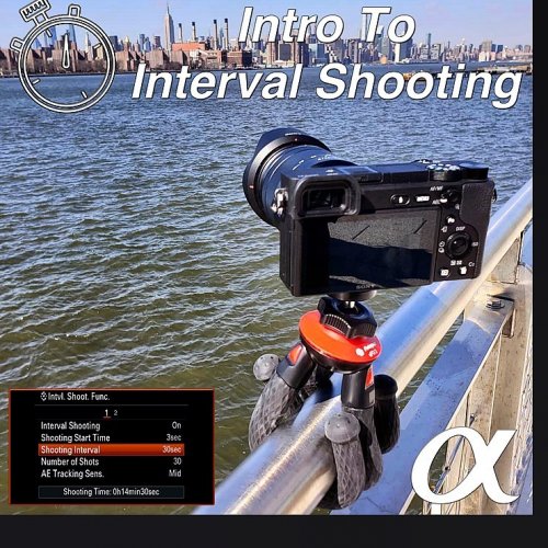 Photo post from cardinalcamera1937.