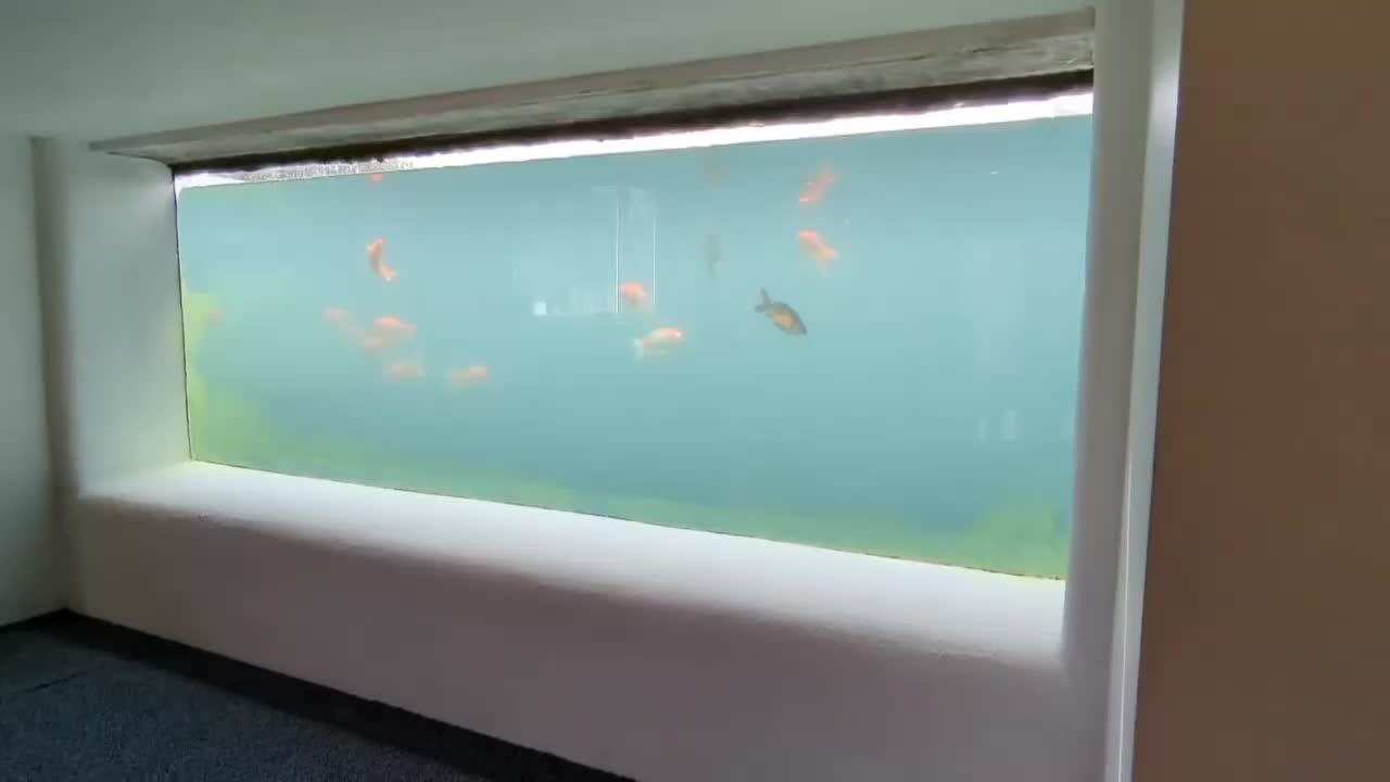 Video post from scott.parry.associates.