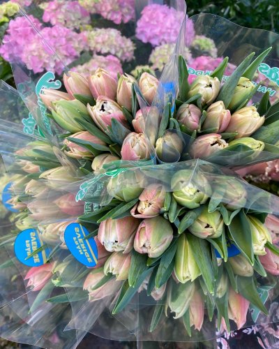 Photo post from blomsterborsen.