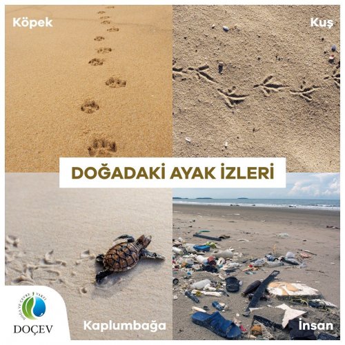 Photo post from dogavecevrevakfi.