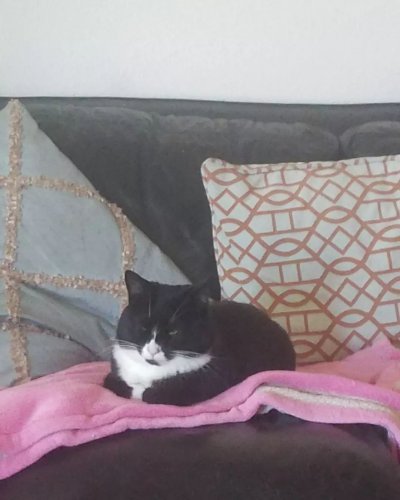 Photo post from monica.mody.