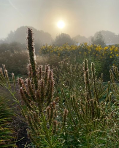 Photo post from sussexprairies.