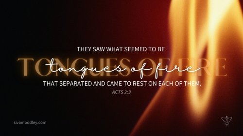 Photo post from drsivamm.