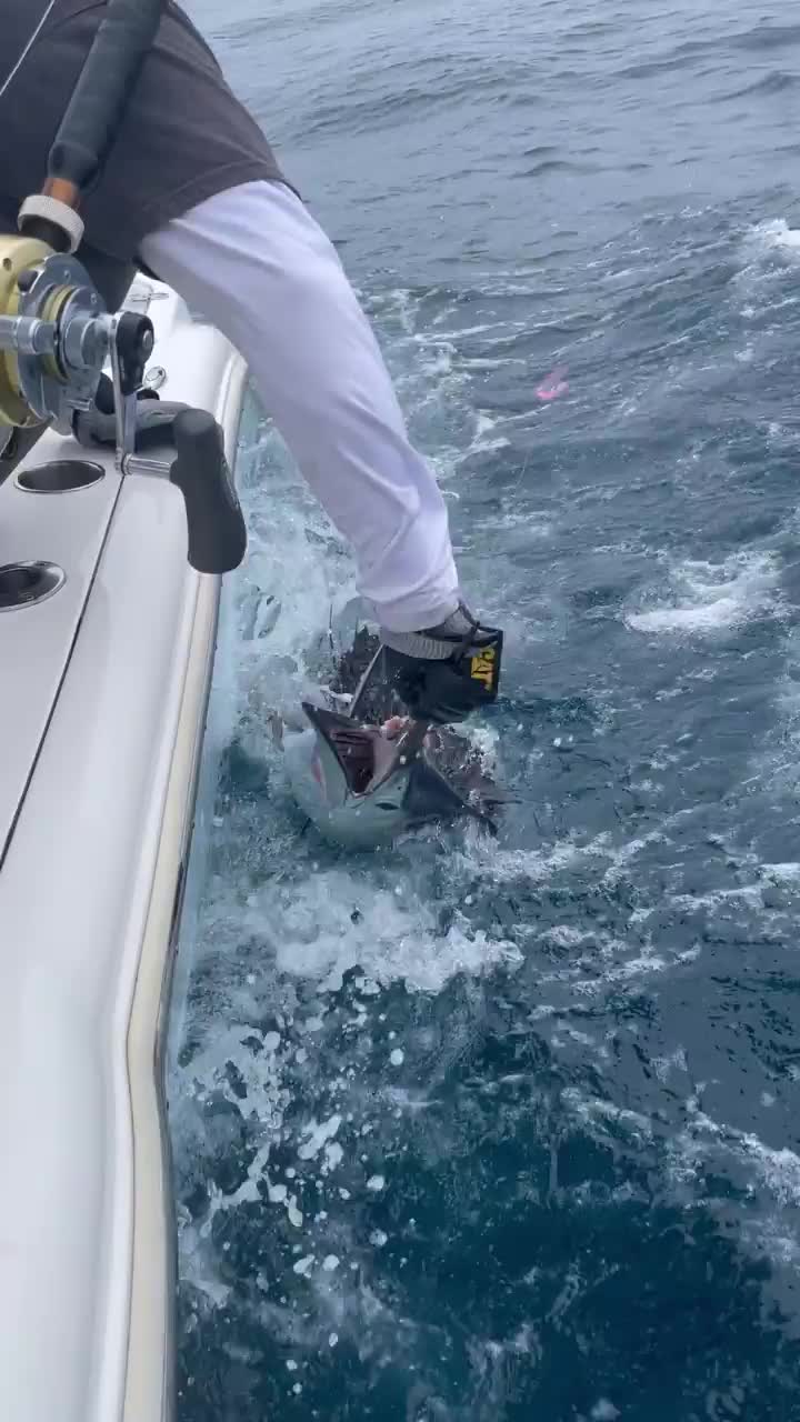 Video post from ejs_fishing_charters.